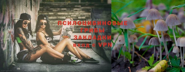гашик Протвино